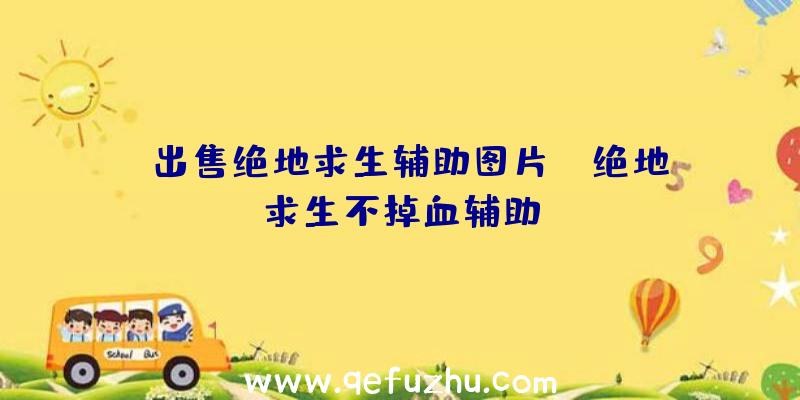 「出售绝地求生辅助图片」|绝地求生不掉血辅助